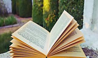 小木虫申请调剂怎么撤回 小木虫考研调剂信息