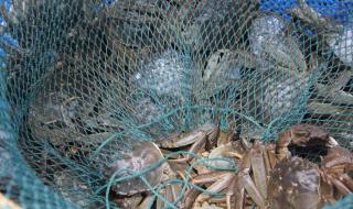 苏宁易购送货时间