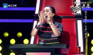 好声音帕尔哈提第一场是哪一期 中国好声音帕尔哈提