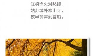 秋天古诗三百首一年级上册 秋天古诗最好的10首