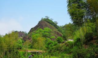 武夷山自驾游攻略 武夷山自助旅游攻略