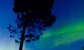 世界经典轻音乐 世界经典轻音乐