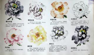 国画写意牡丹枝干与叶子的衔接怎么处理 写意牡丹画法