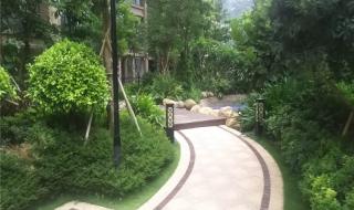 广东省汕头市金平区有哪些中学 汕头金园实验中学