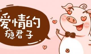 百合是什么意思 百合是怎样弄对方的