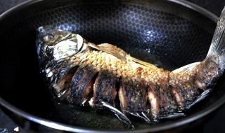 鱼炖羊排的做法 炖鱼块的做法大全