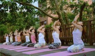 梵音瑜伽师培训的费用是多 瑜伽师培训学校