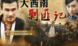 那个电视台播放大西南剿匪记 大西南剿匪记片尾曲
