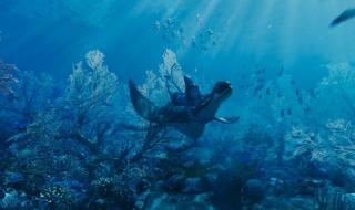 阿凡达2水之道原版是中文还是英文 阿凡达2水之道4k资源