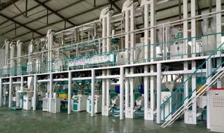 有谁知道大米打米机械全设备中型的多少钱吗 大米加工设备多少钱