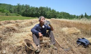 洋葱晶的结晶方法 洋葱晶的制作方法